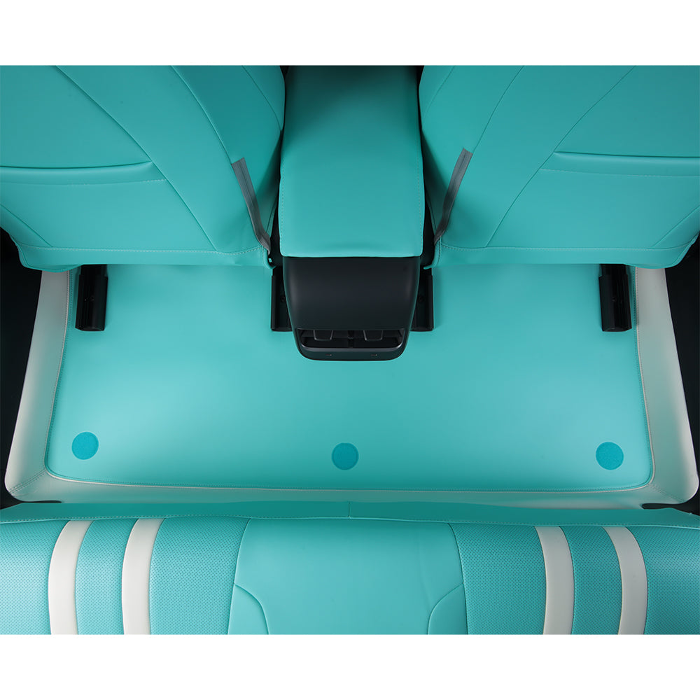 Tiffany Blue Leather Car Floor Mat For Tesla