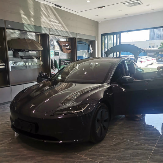 Tesla Model 3 vs. Model Y Interior Comparison