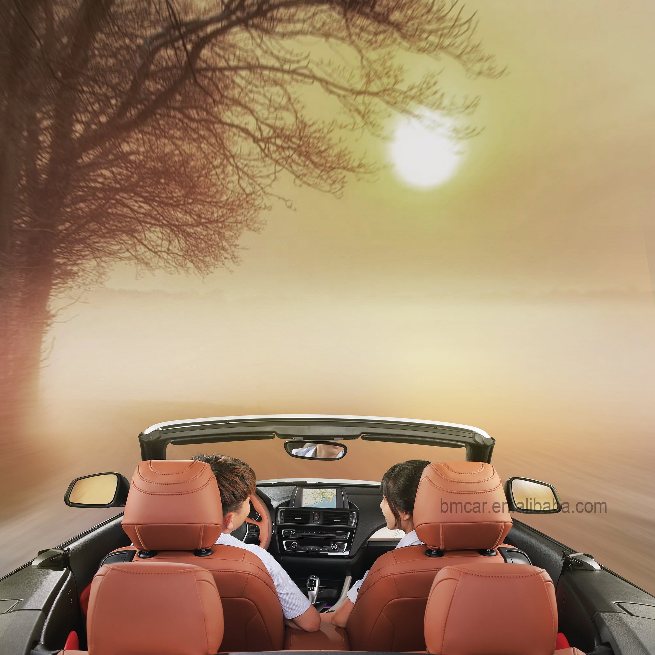 Future-Ready Car Interiors: A Look at Tomorrow's Driving Experience