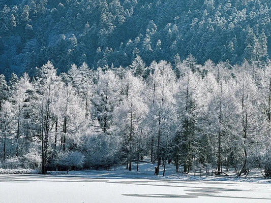 ❄❄Car interior suitable for cold areas