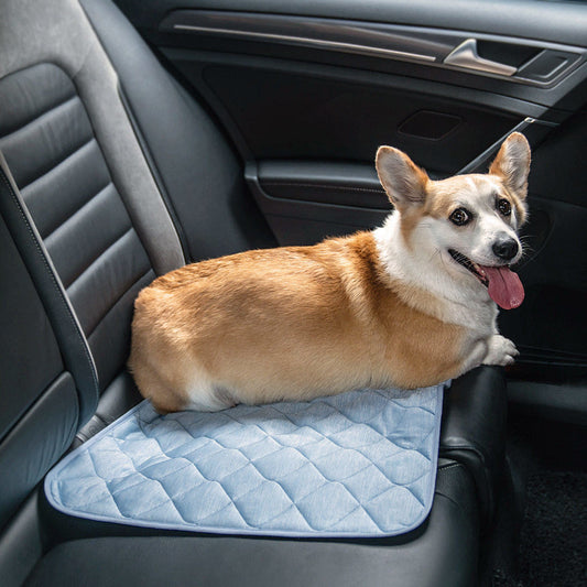 Traveling with Kids or Pets? Here’s How to Keep Your Car Seats Clean