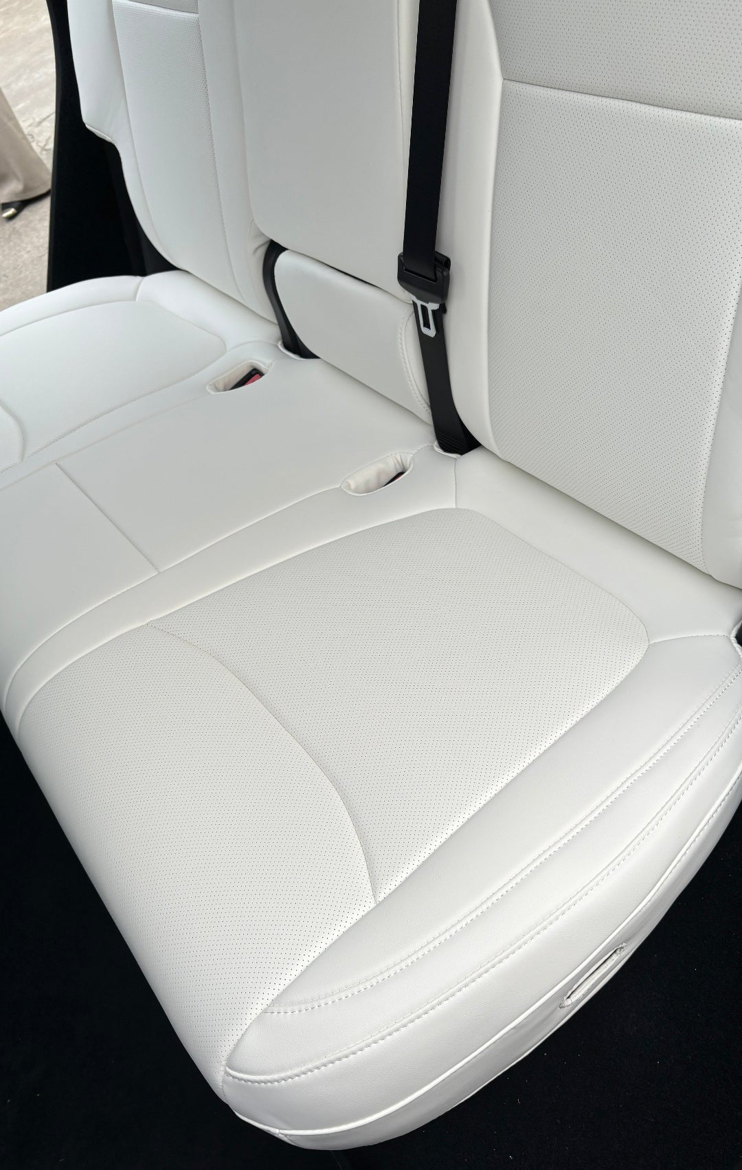 only rear seat cover 